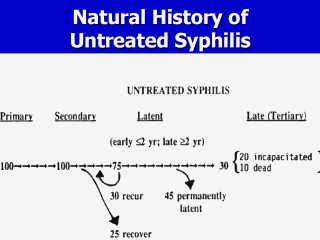 syphilis-timelines-untreated